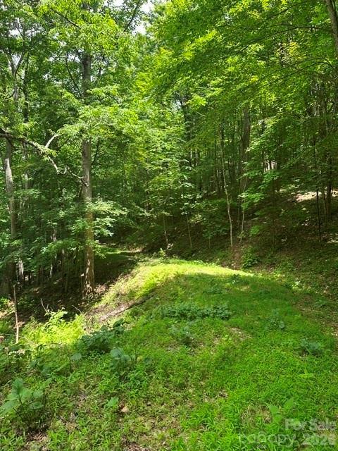 TBD Mountain Home Rd. #2, Elk Park, NC 28622