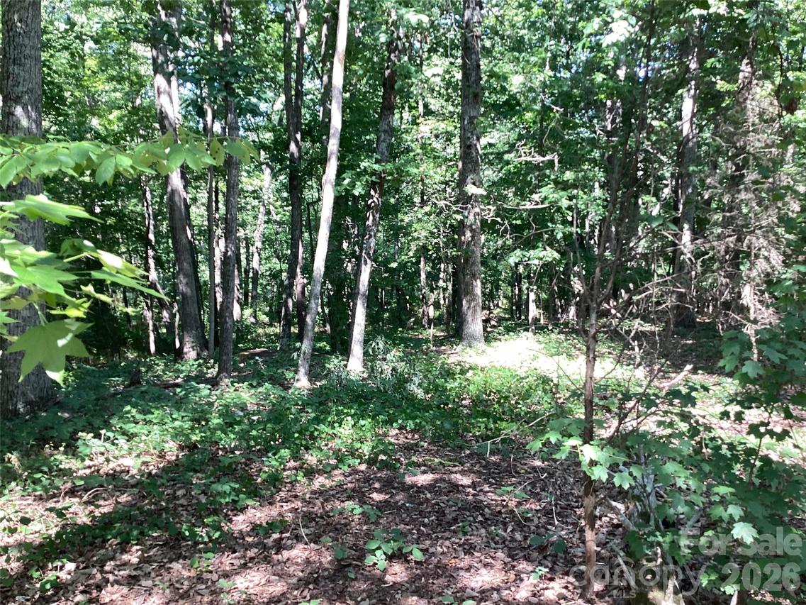 2870 Dunns Mountain Rd., Salisbury, NC 28146