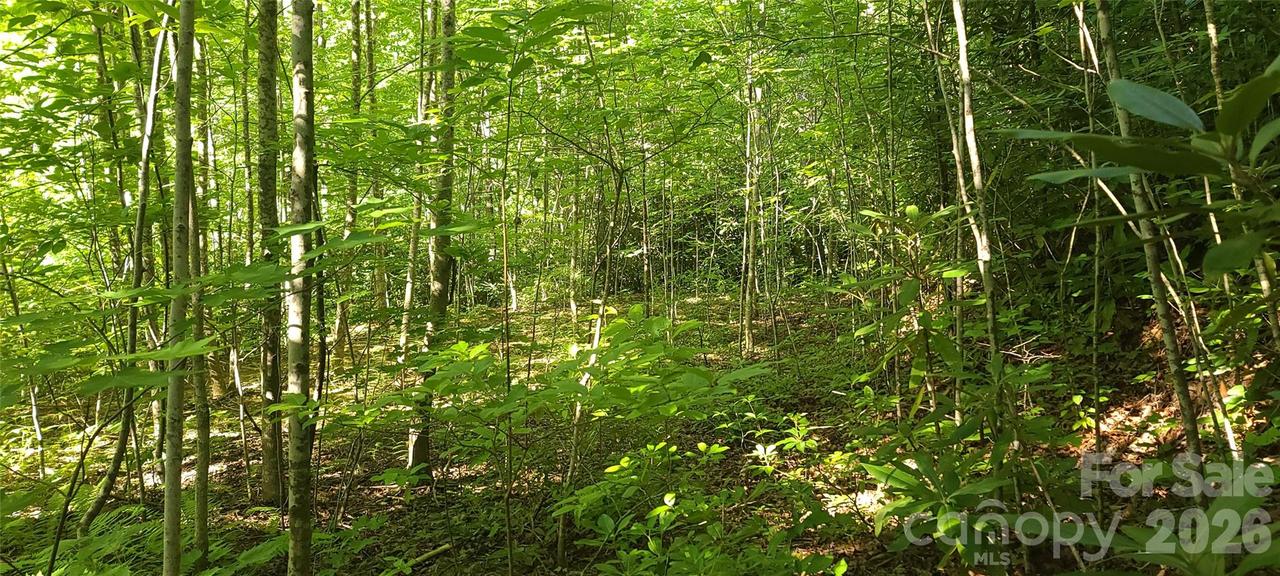 Lot# 19 Mill Creek Rd., Old Fort, NC 28762