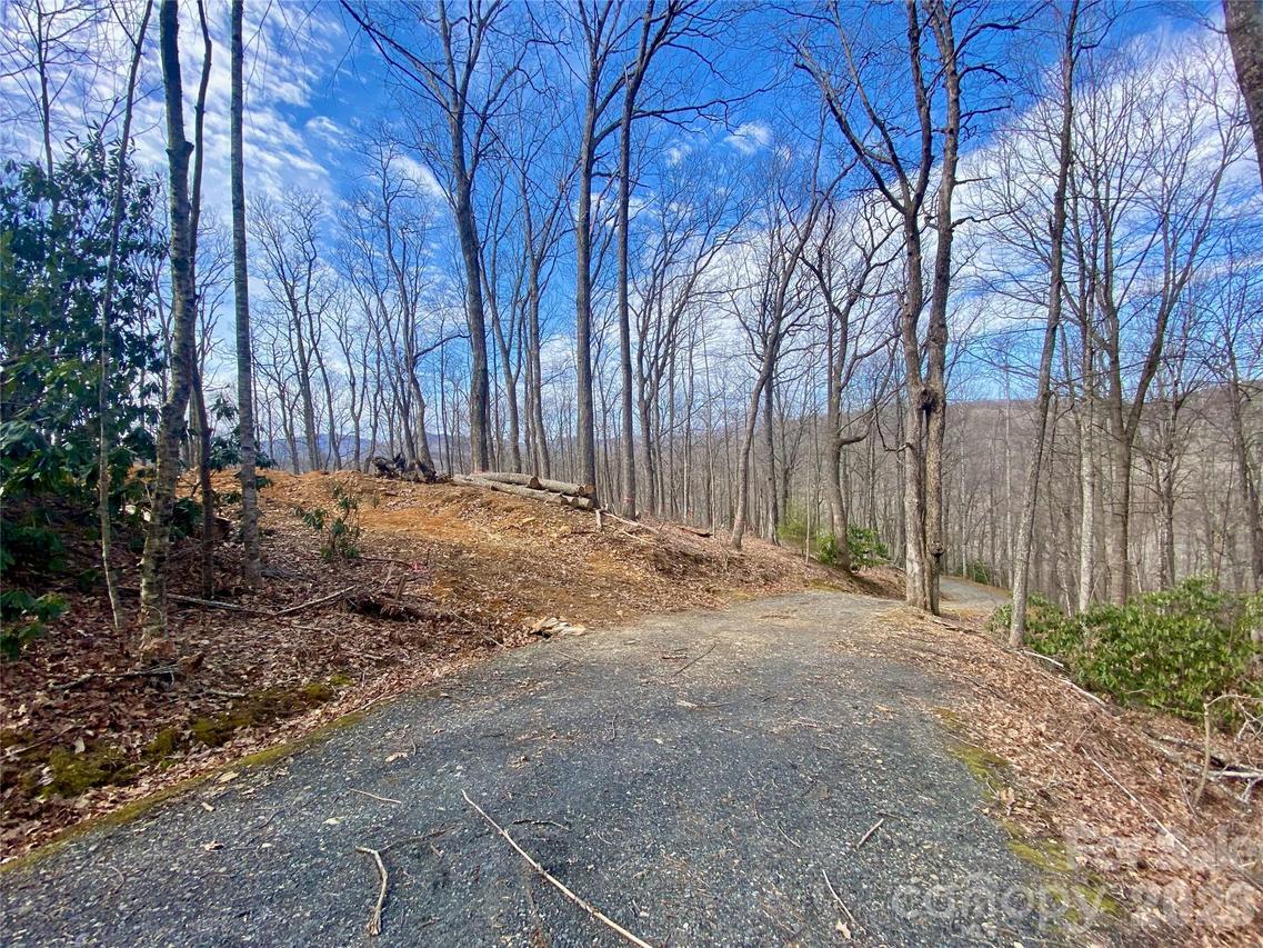 TBD Old Chestnut Mountain Rd., Newland, NC 28657