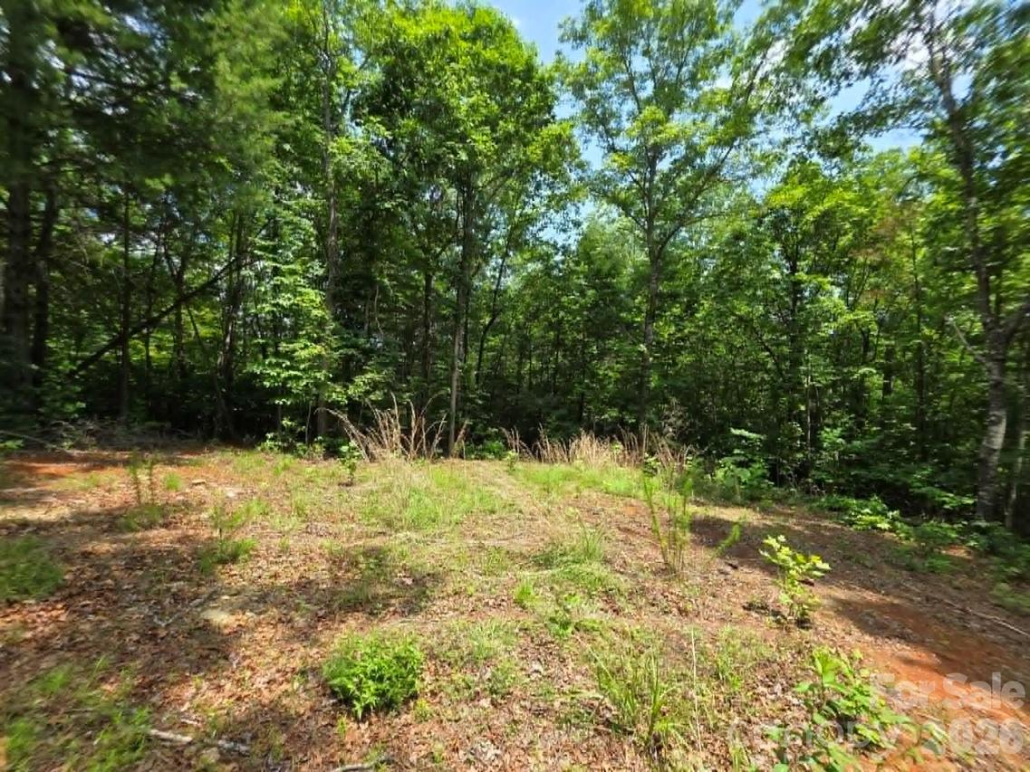 169 Fairfield Ln., Marion, NC 28752