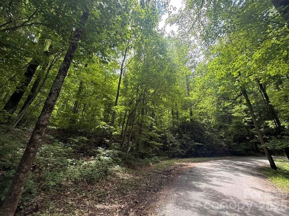 000 Summit Rd. #343, Tryon, NC 28782
