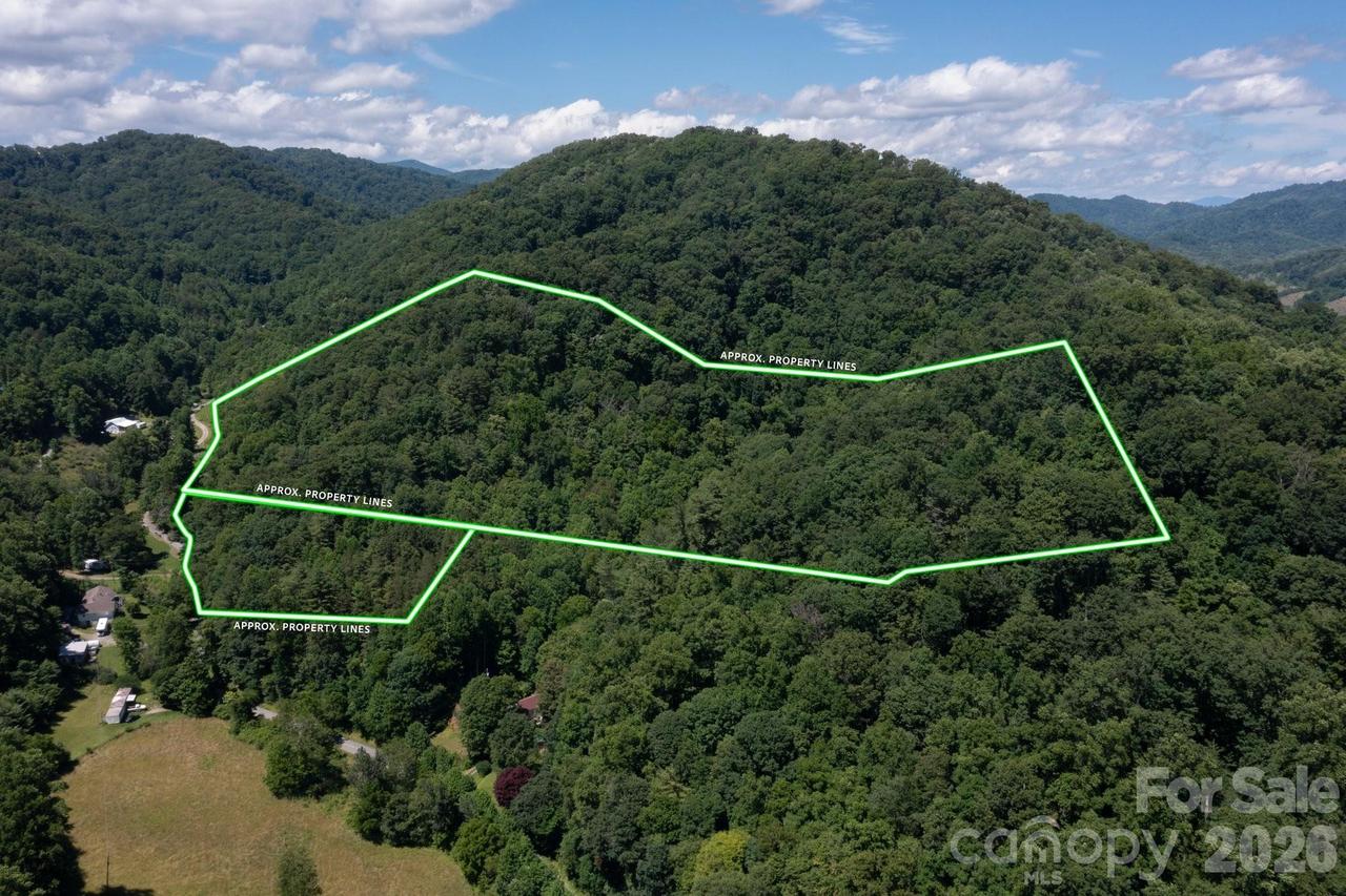 TBD Wooded Mountain Tr. #Tracts 1 & 2, Mars Hill, NC 28754