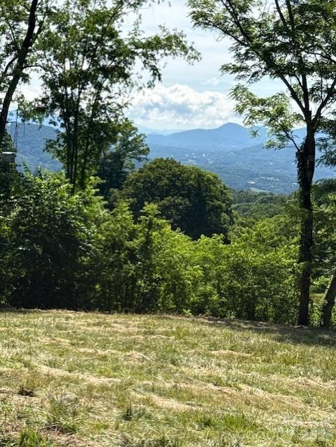 #38 Sleepy Hollow Dr., Waynesville, NC 28785
