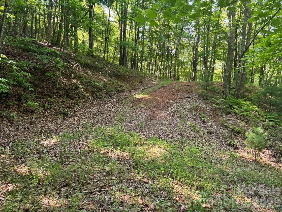 856 Stoney Stream Ln. #146 & 147, Arden, NC 28704