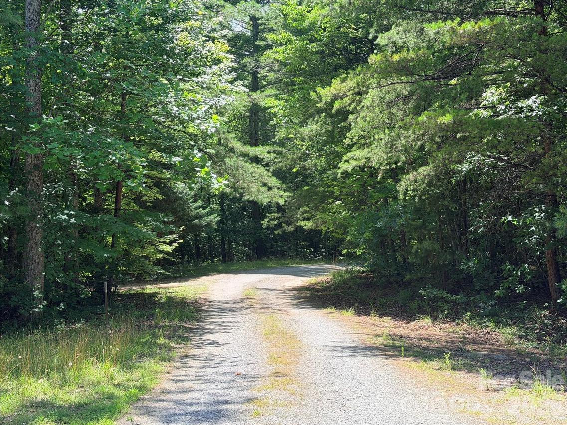 00 Grassy Knob Rd. #5, Mill Spring, NC 28756