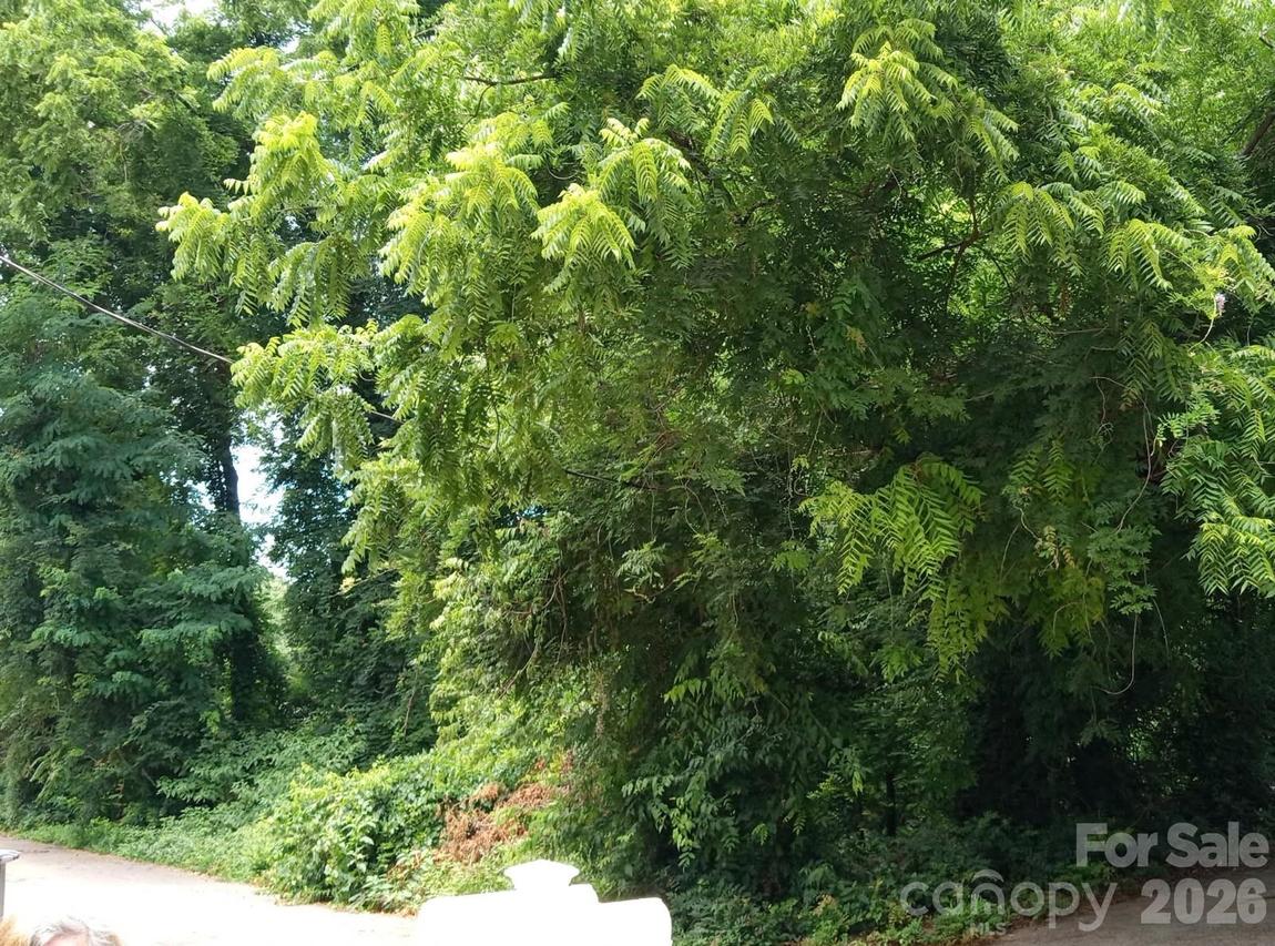 000 Ann Dr. #170, Belmont, NC 28012