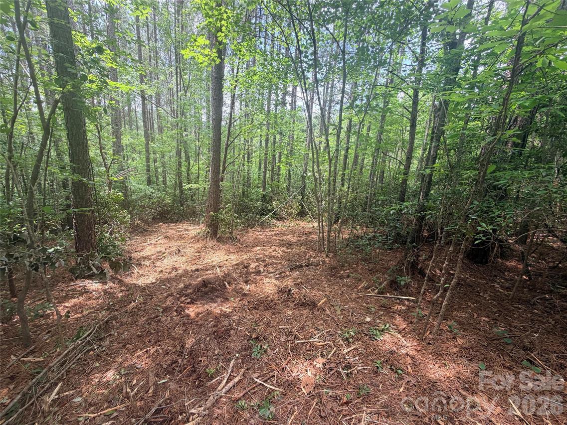 Gold Creek Point #4, Union Mills, NC 28167