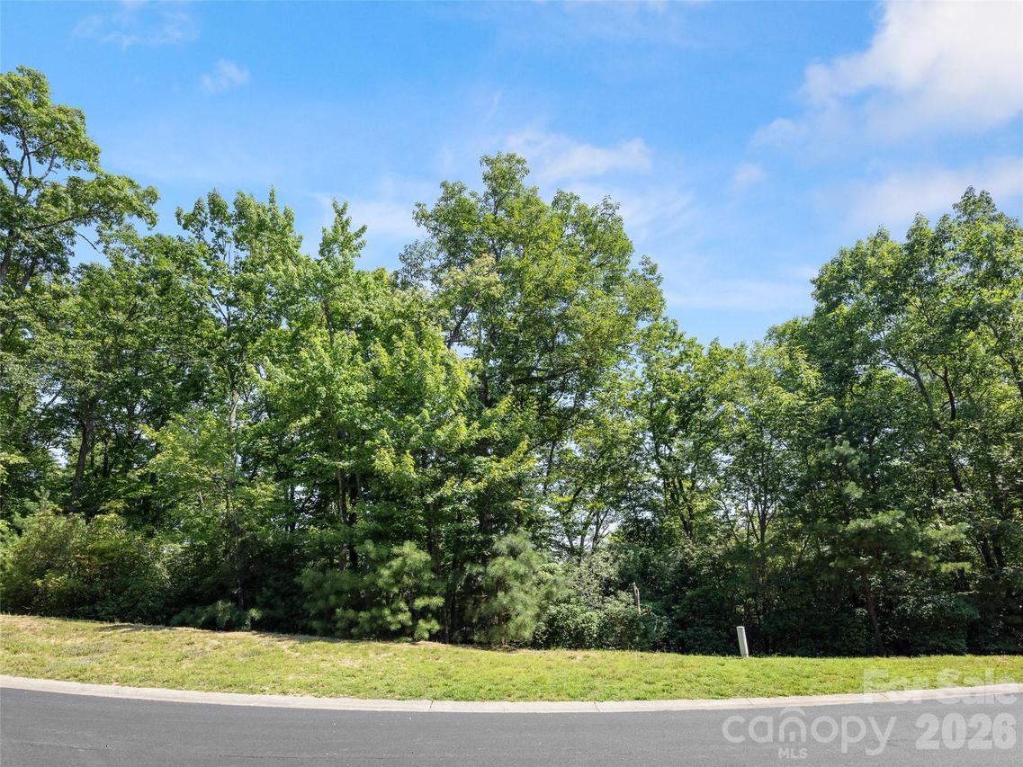 99999 Shining Rock Path #69, Horse Shoe, NC 28742