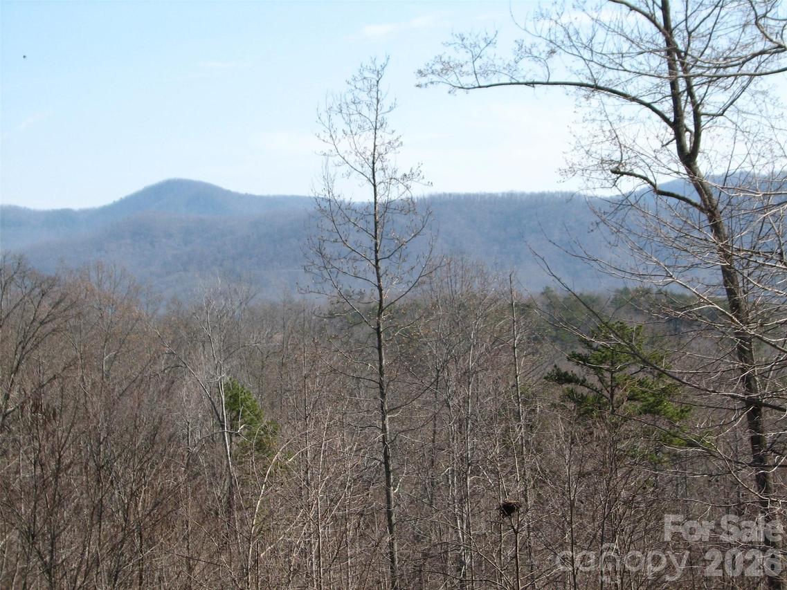 000 Meditation Ridge Ridge #21,22, Nebo, NC 28761