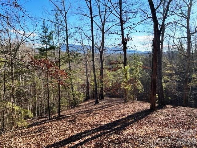 Lot 17-4 N Coast Dr., Mill Spring, NC 28756