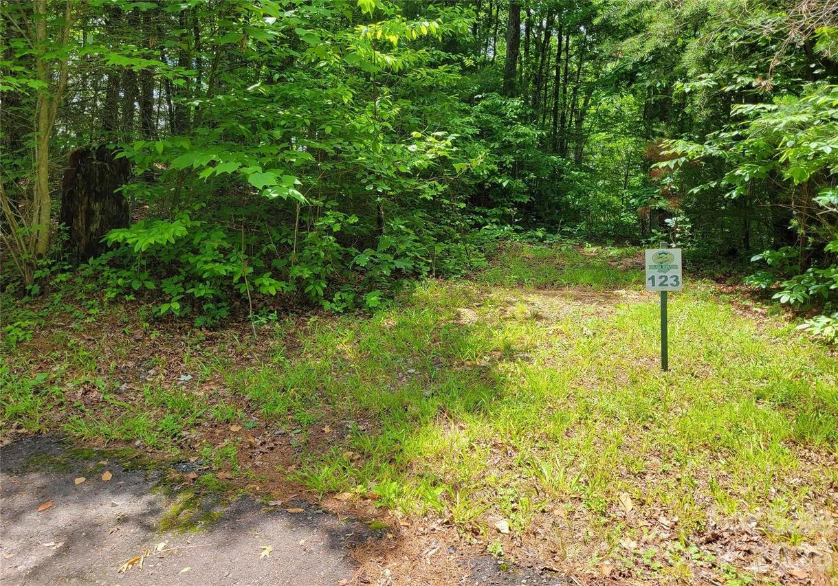 TBD Bear River Lodge Rd. #123, Marshall, NC 28753