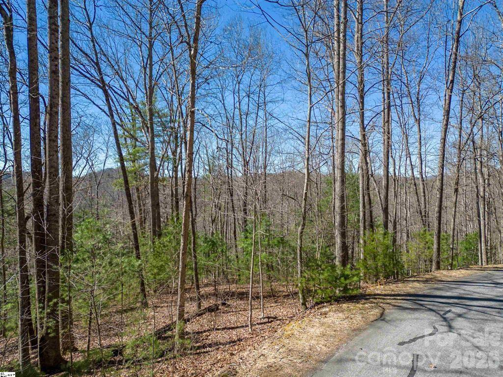 180 Overlook Park Dr. #51, Hendersonville, NC 28792