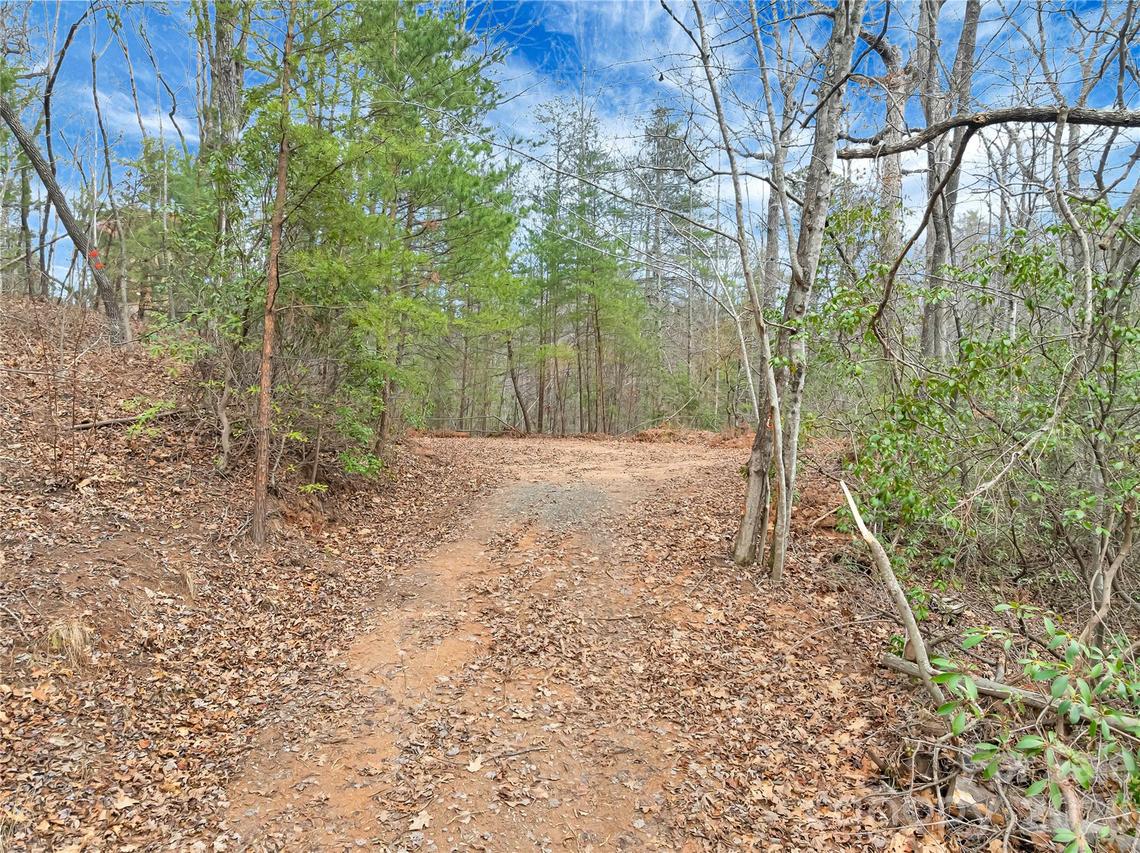 TBD Deep Woods Ln. #102, Saluda, NC 28773