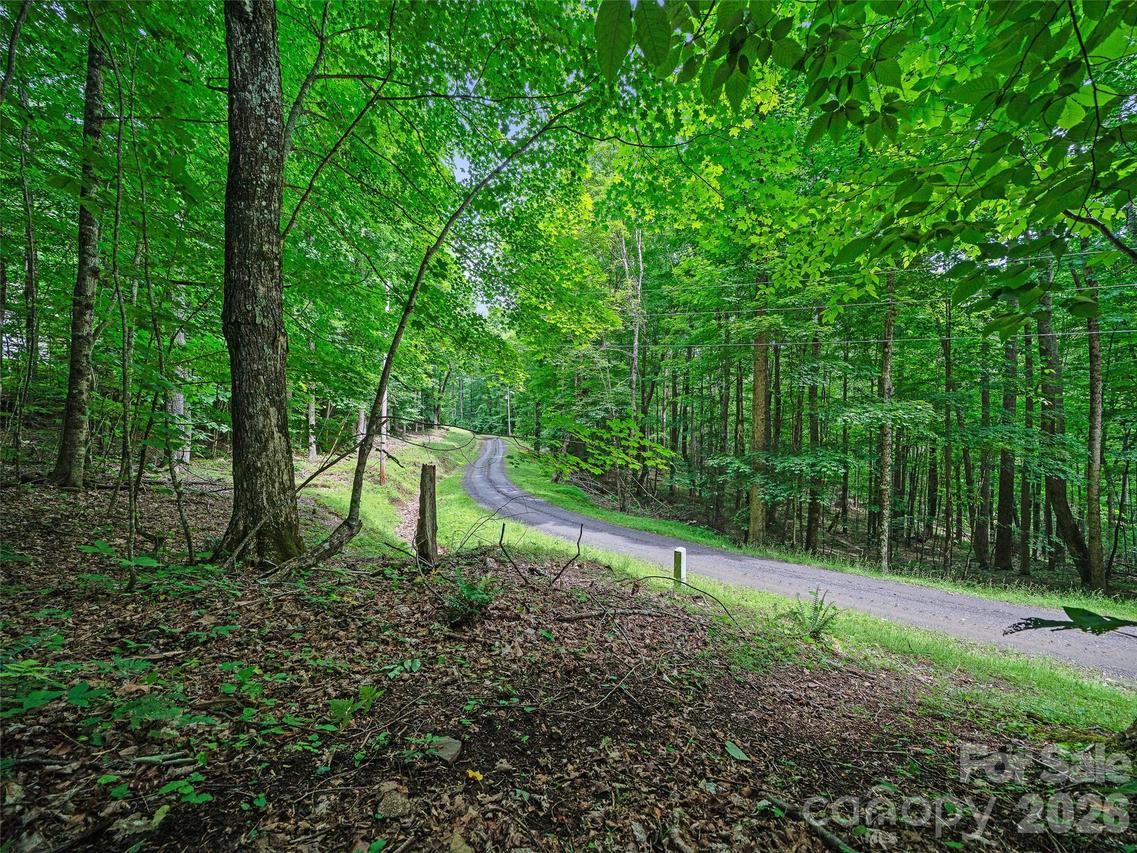 000 Shadow Moss Dr. #8B, Burnsville, NC 28714