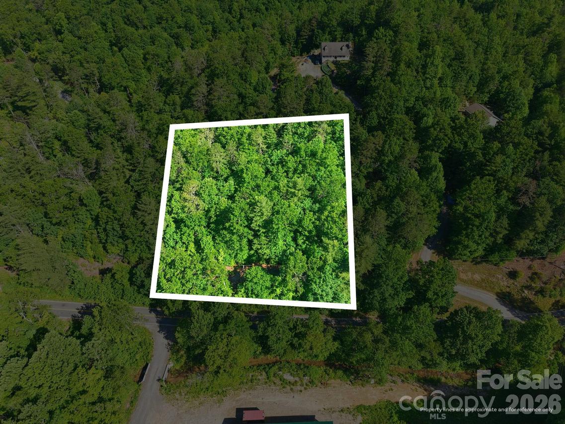 9999 Old Fort Rd., Black Mountain, NC 28711