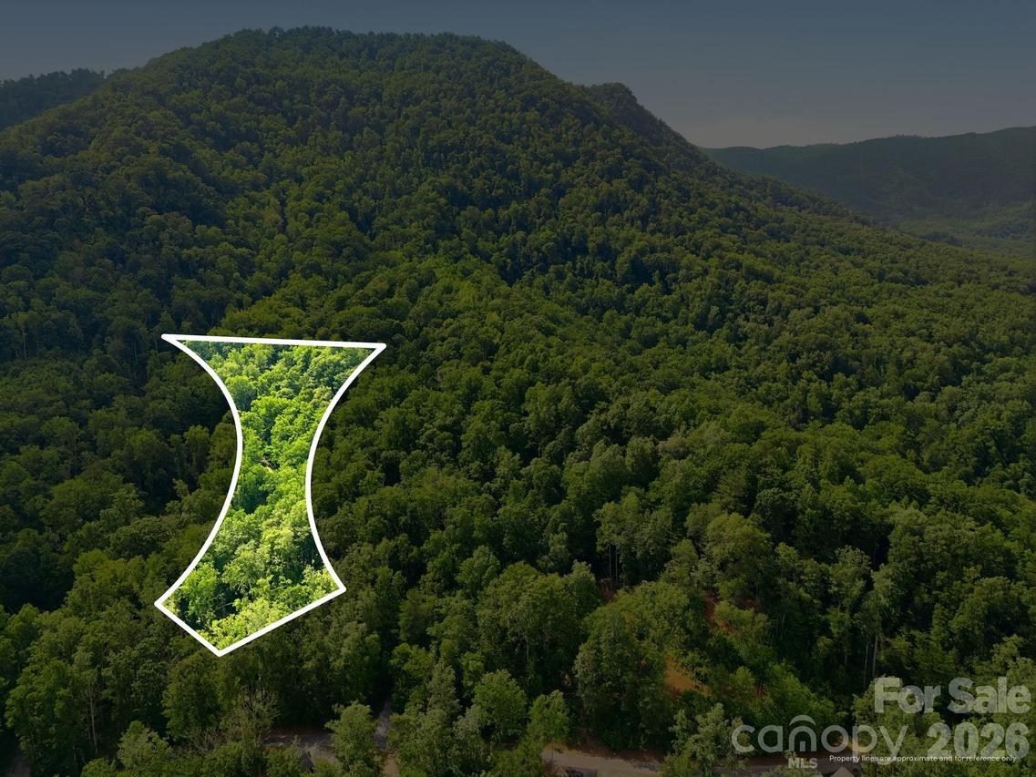 0000 Rocky Branch Tr., Marion, NC 28752