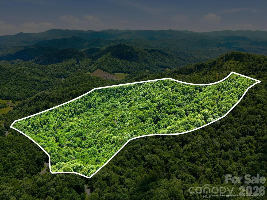 TBD Windy Gap Rd. #Tract B, Mars Hill, NC 28754