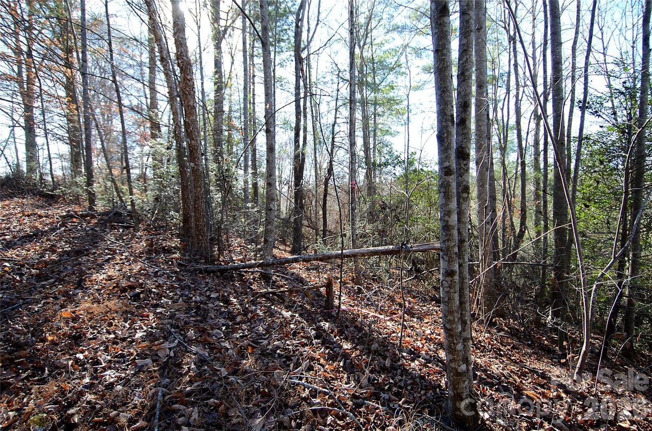 Wildwood Mountain Ln. #8, Marion, NC 28752