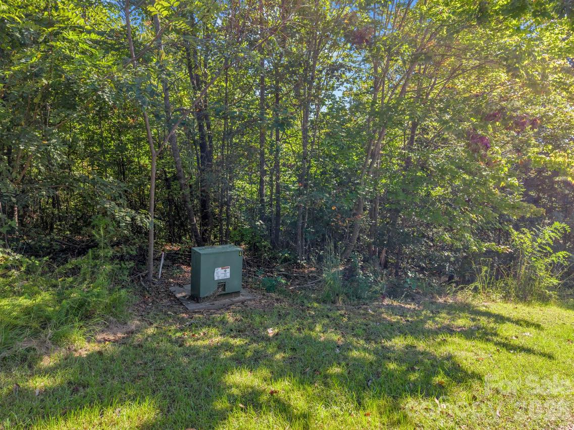 Owls Ridge Dr. #154, Bostic, NC 28018