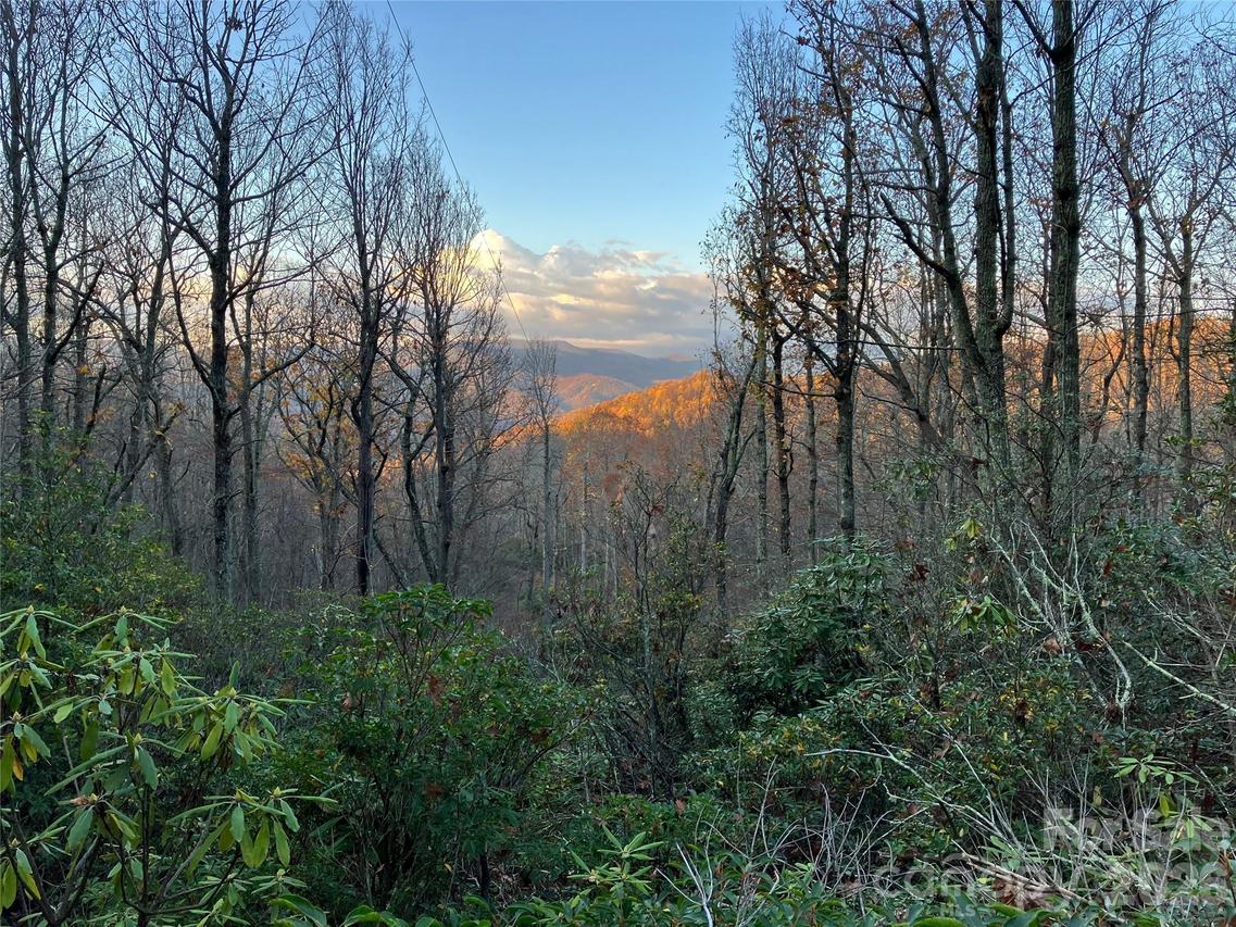 64 Clay View Dr., Fairview, NC 28730