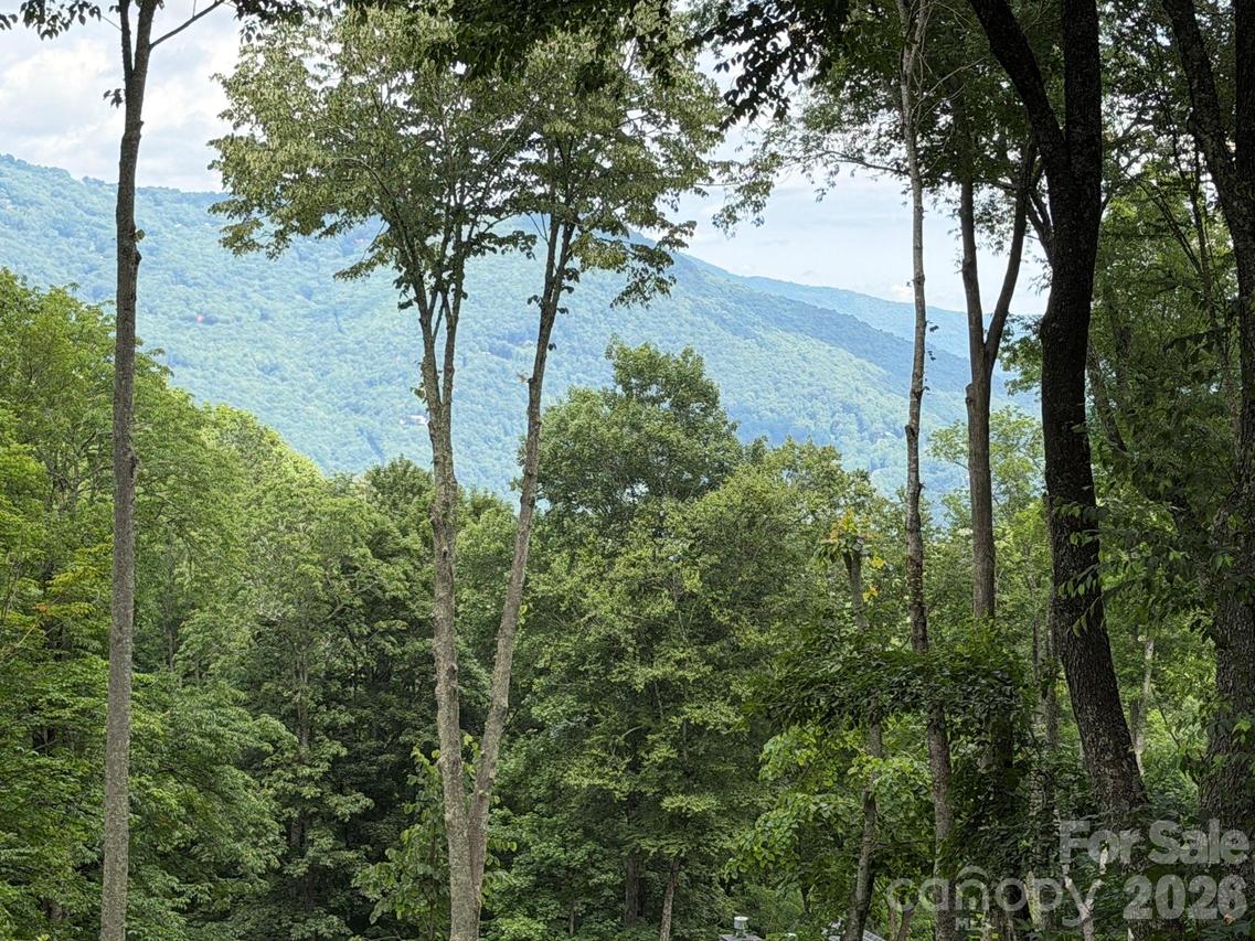 Lot 5 Gadohi Tr. #5, Maggie Valley, NC 28751