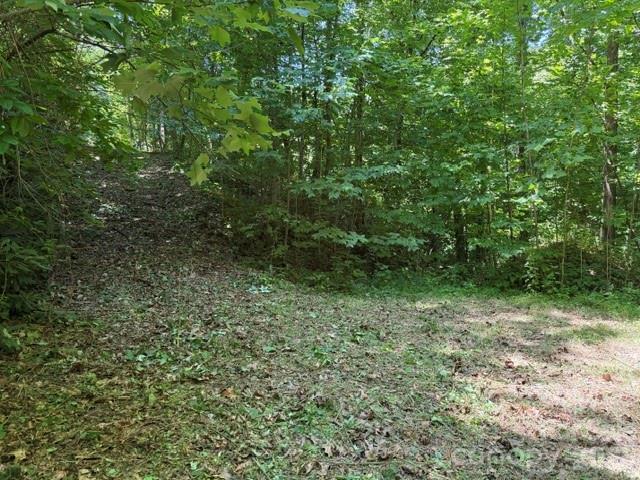00 Heavenly View Dr., Sylva, NC 28779