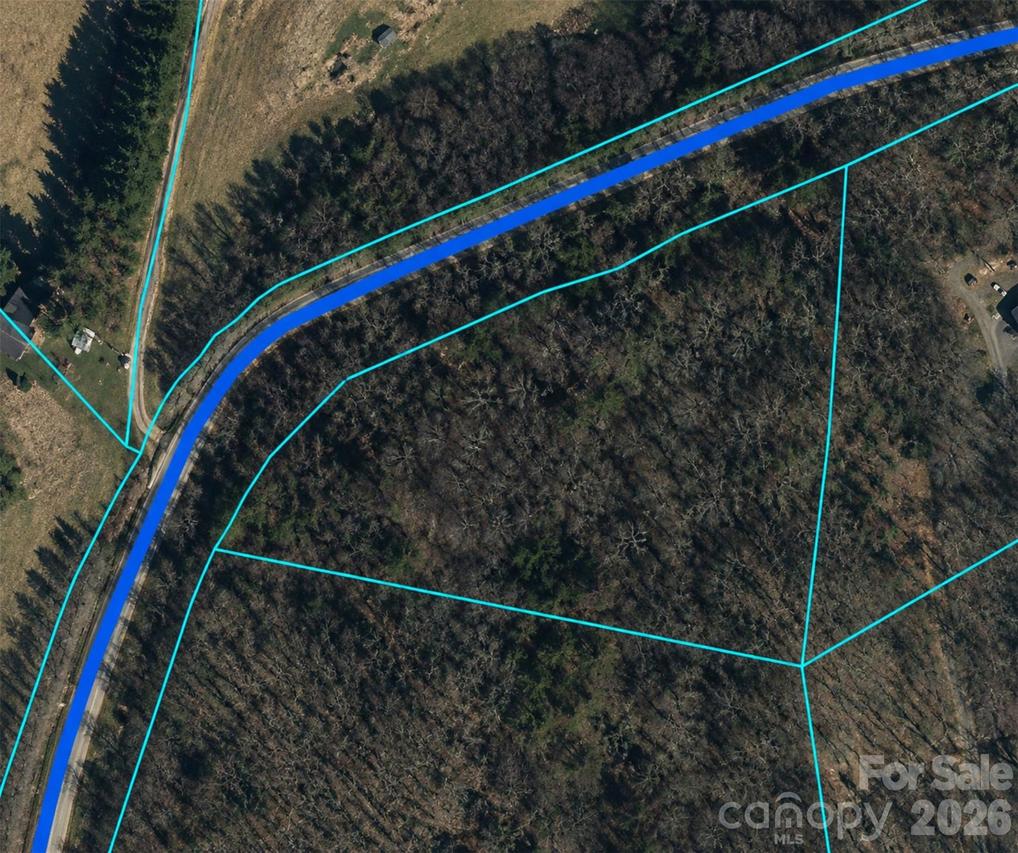 Clarks Branch Rd., Leicester, NC 28748