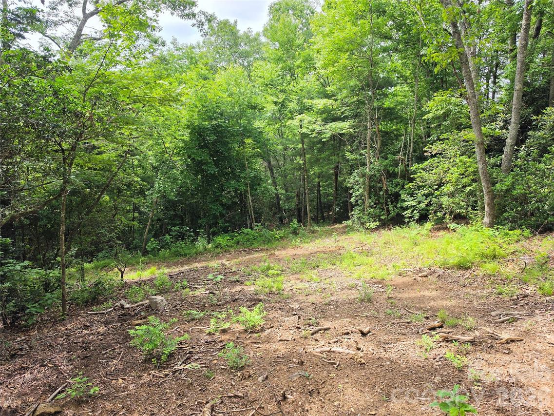 9999 Fairview Forest Dr., Fairview, NC 28730