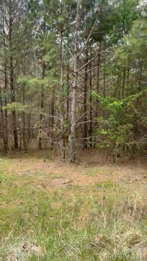 117 Church View Dr. #1, Lawndale, NC 28090