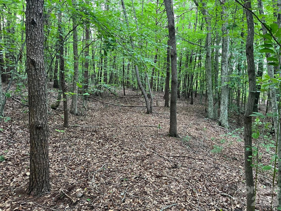 V/L Moore Branch Dr., Nebo, NC 28761