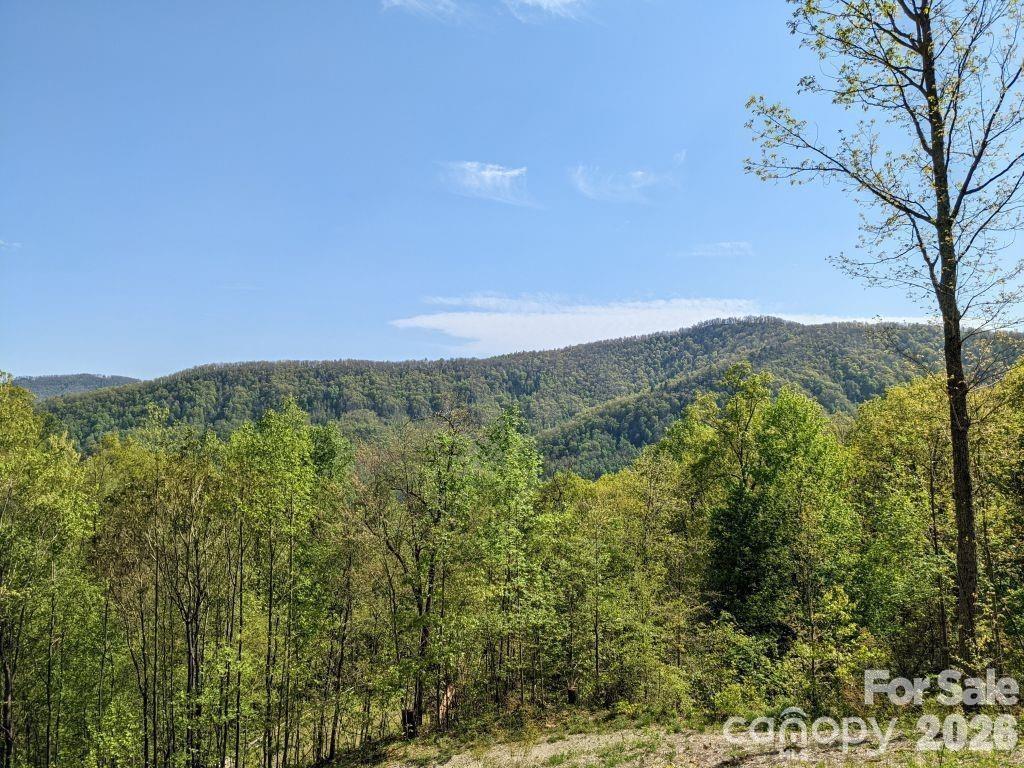 351 Kestrel Ln. #T-67, Black Mountain, NC 28711