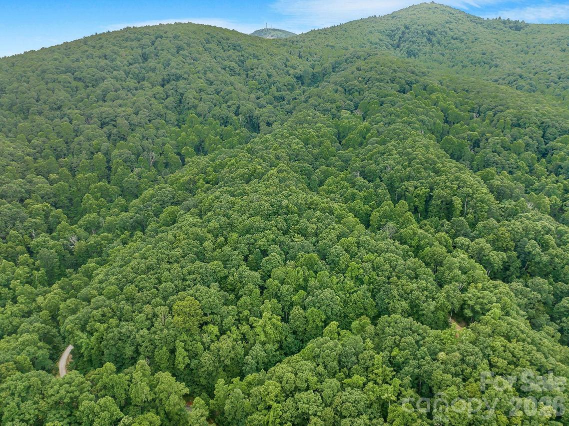 8 Carls Cove Rd., Black Mountain, NC 28711