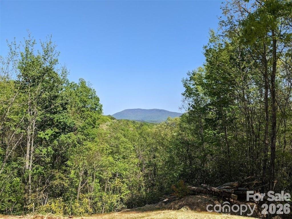 171 Nuthatch Ln. #C-30, Black Mountain, NC 28711