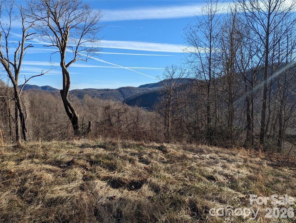 117 Ironwood Ln. #C-20, Black Mountain, NC 28711