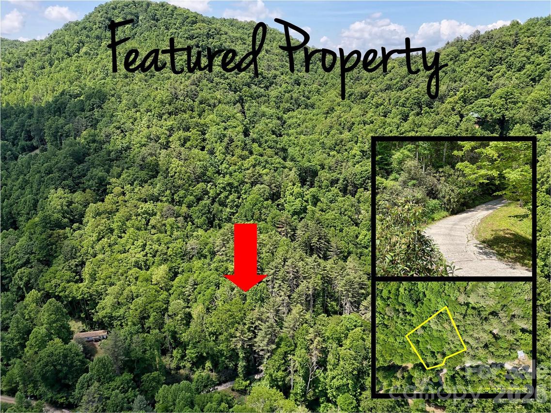 000 Enchanted Forest Dr. #1, Sylva, NC 28779