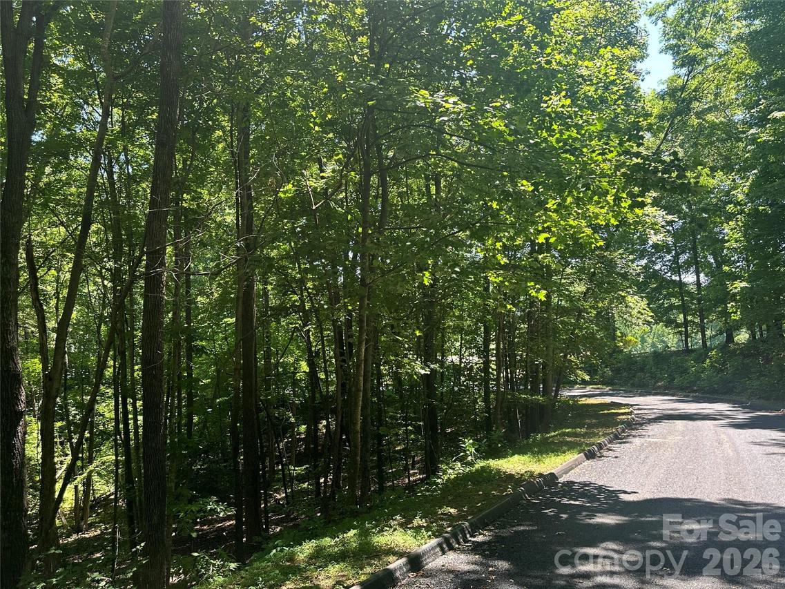 Knoll Ct., Lake Lure, NC 28746