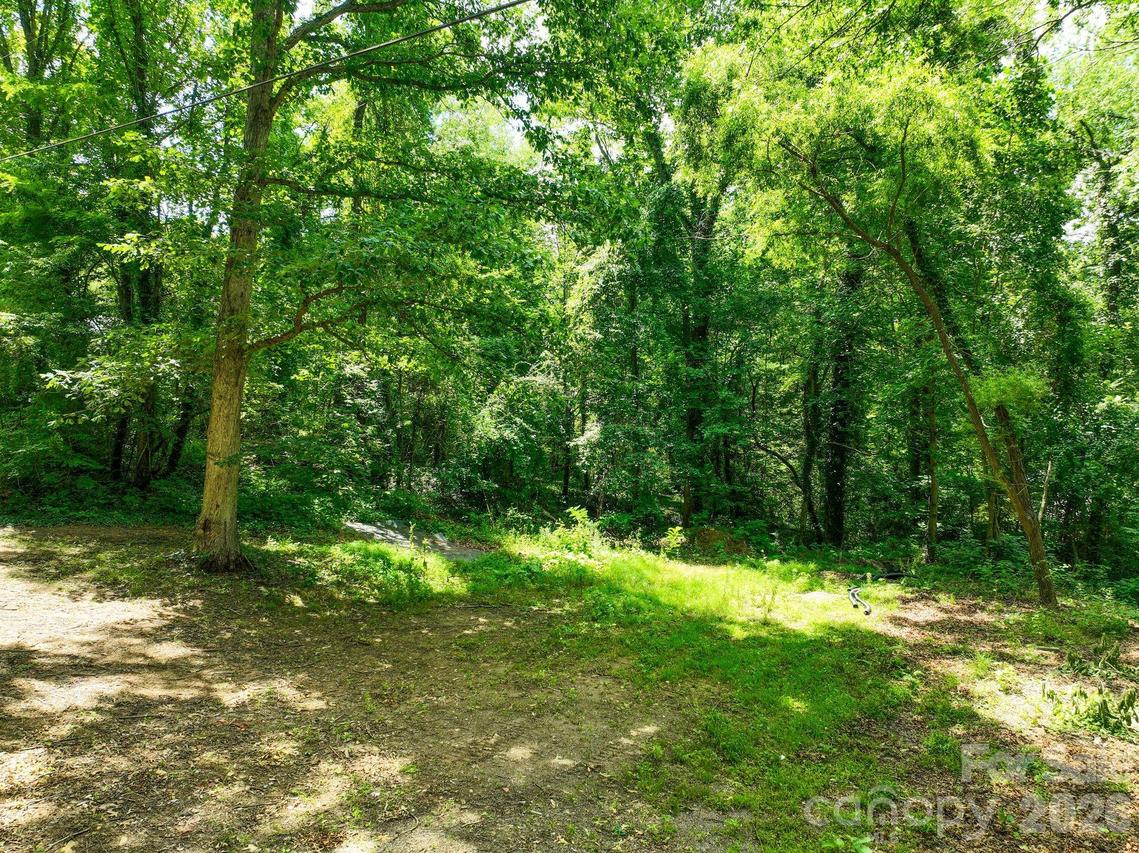 99999 Chunns Cove Rd., Asheville, NC 28805