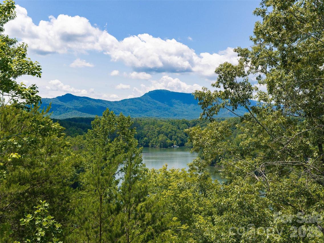 Lot 3 Loggers Pass Ln., Mill Spring, NC 28756