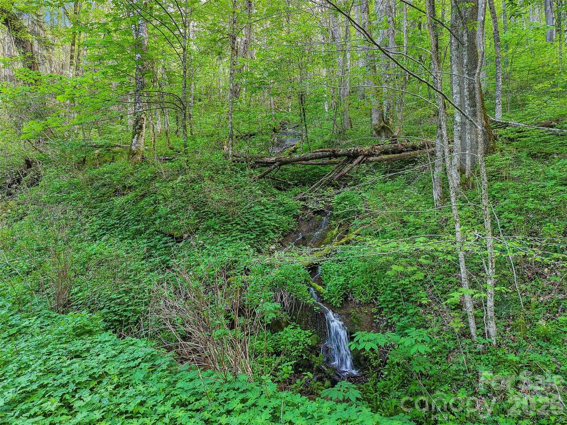 00 Star Crest Dr., Waynesville, NC 28785