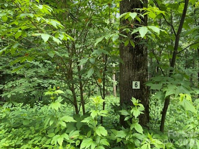 Lot 6 Gadohi Tr. #6, Maggie Valley, NC 28751