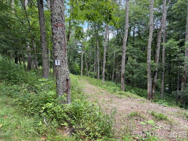 Lot 7 Gadohi Tr. #7, Maggie Valley, NC 28751