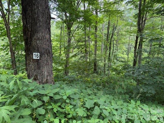 Lot 16 Iga Tr. #16, Maggie Valley, NC 28751
