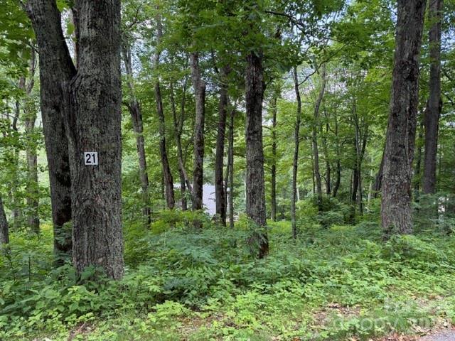 Lot 21 Odalu Tr. #21, Maggie Valley, NC 28751