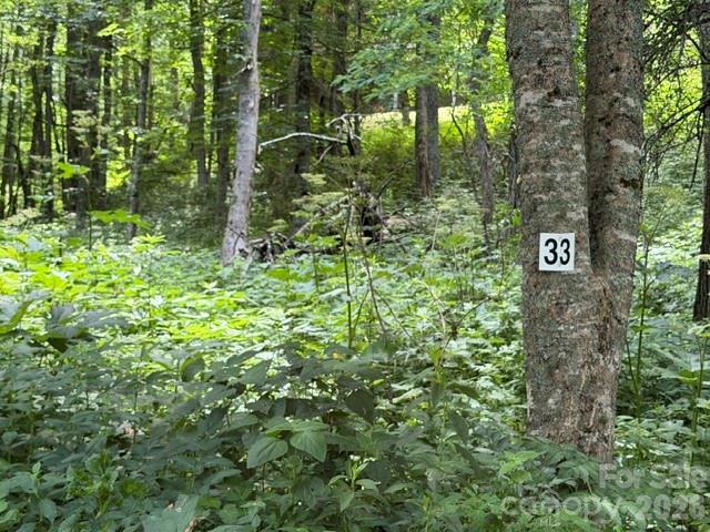 Lot 33 Toi Tr. #33, Maggie Valley, NC 28751