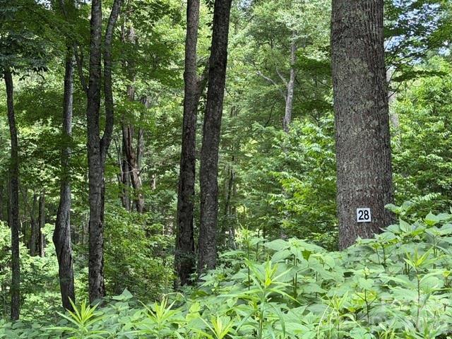Lot 28 Toi Tr. #28, Maggie Valley, NC 28751