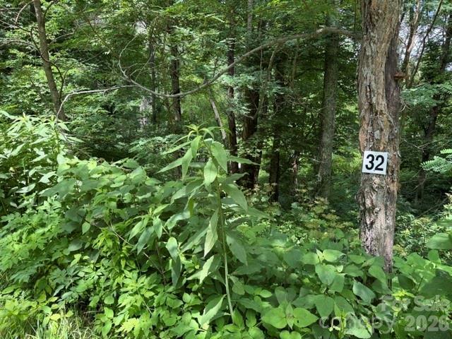 Lot 32 Toi Tr. #32, Maggie Valley, NC 28751