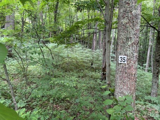 Lot 35 Odalu Tr. #35, Maggie Valley, NC 28751