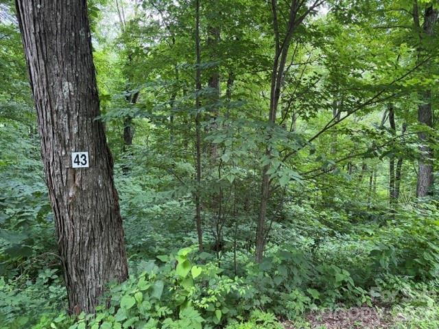 Lot 43 Gata Tr. #43, Maggie Valley, NC 28751