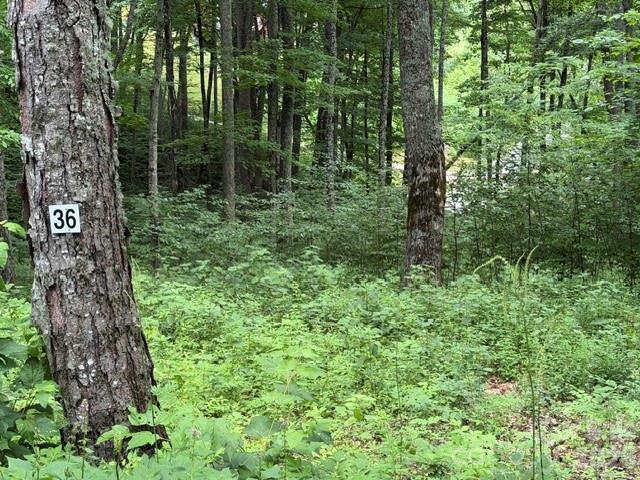 Lot 36 Odalu Tr. #36, Maggie Valley, NC 28751